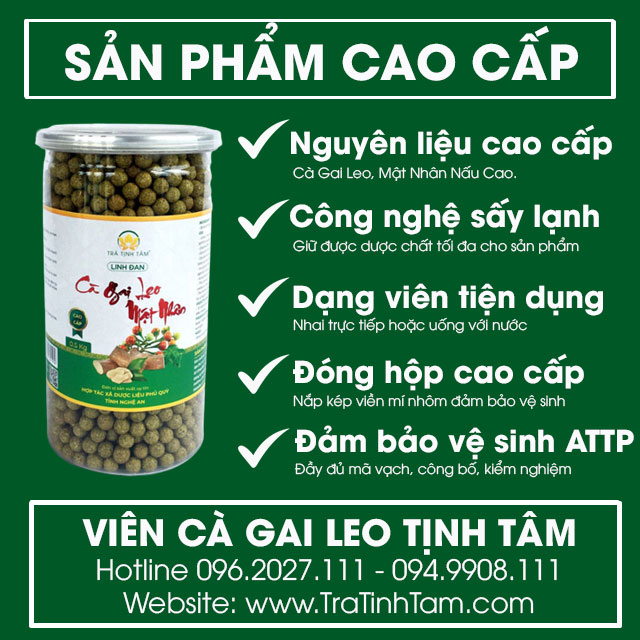 vien-ca-gai-leo-tinh-tam